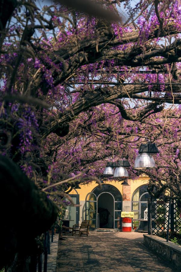 Il Glicine B&B Ristorante Cazzago San Martino Exterior foto