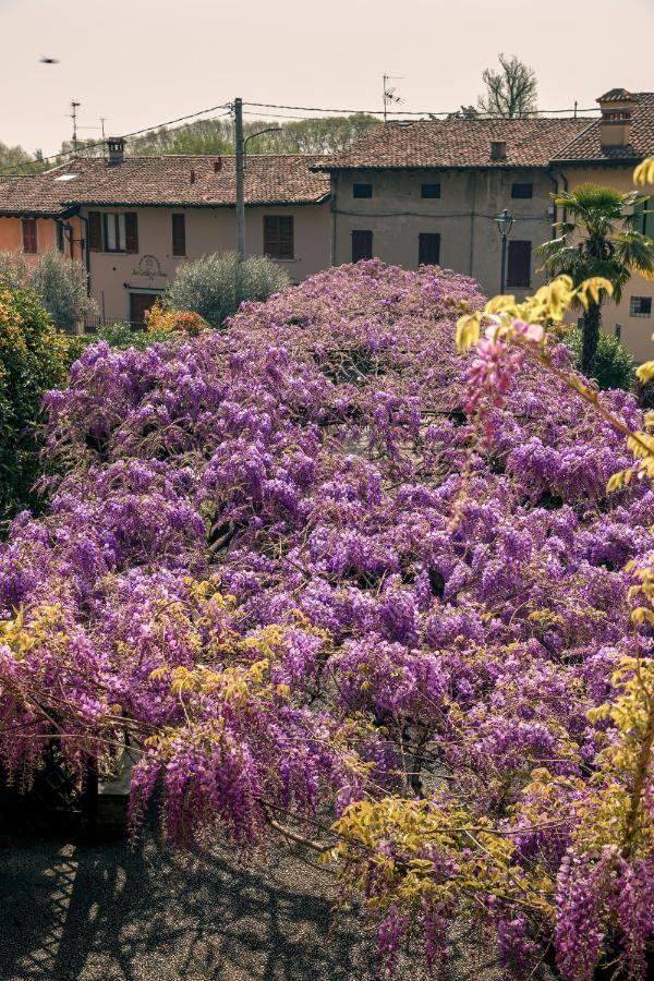 Il Glicine B&B Ristorante Cazzago San Martino Exterior foto