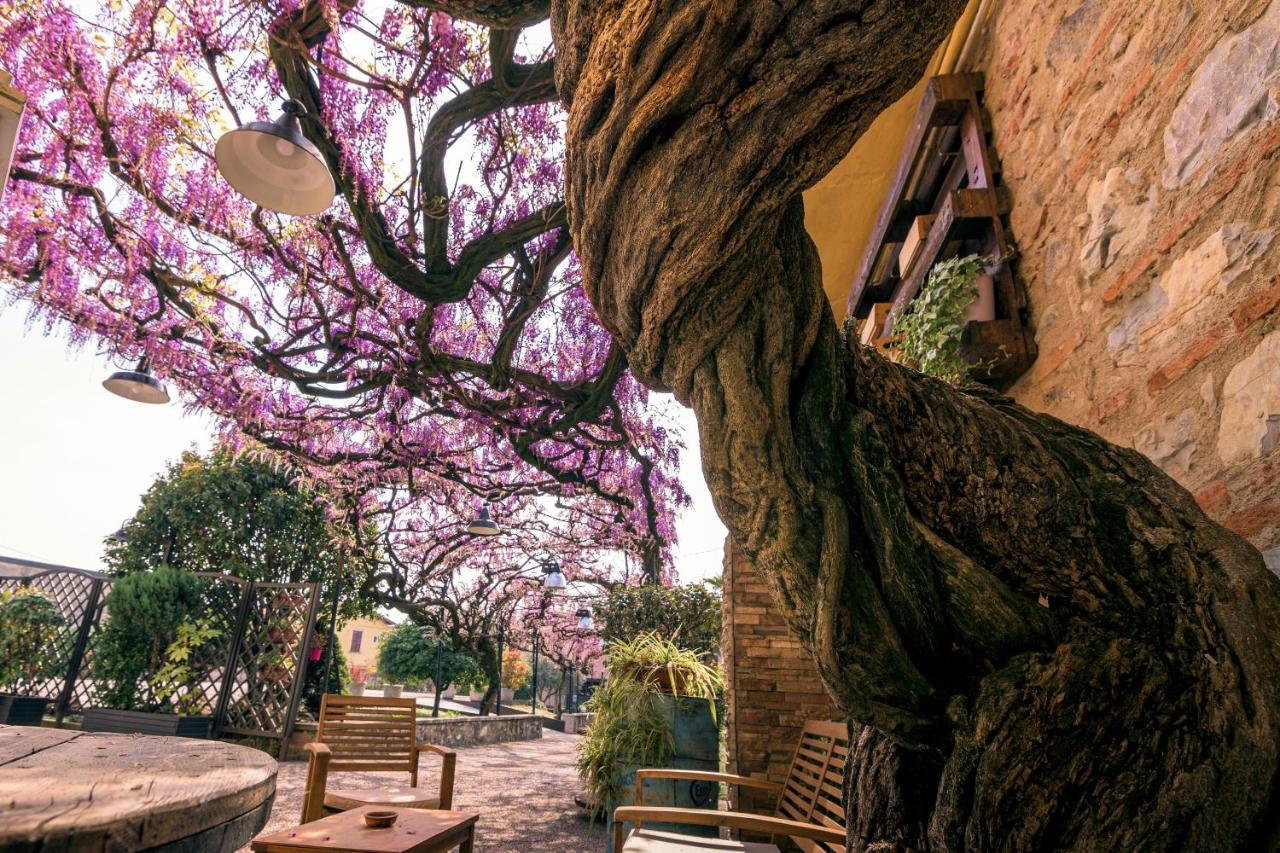 Il Glicine B&B Ristorante Cazzago San Martino Exterior foto