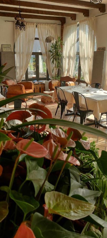 Il Glicine B&B Ristorante Cazzago San Martino Exterior foto